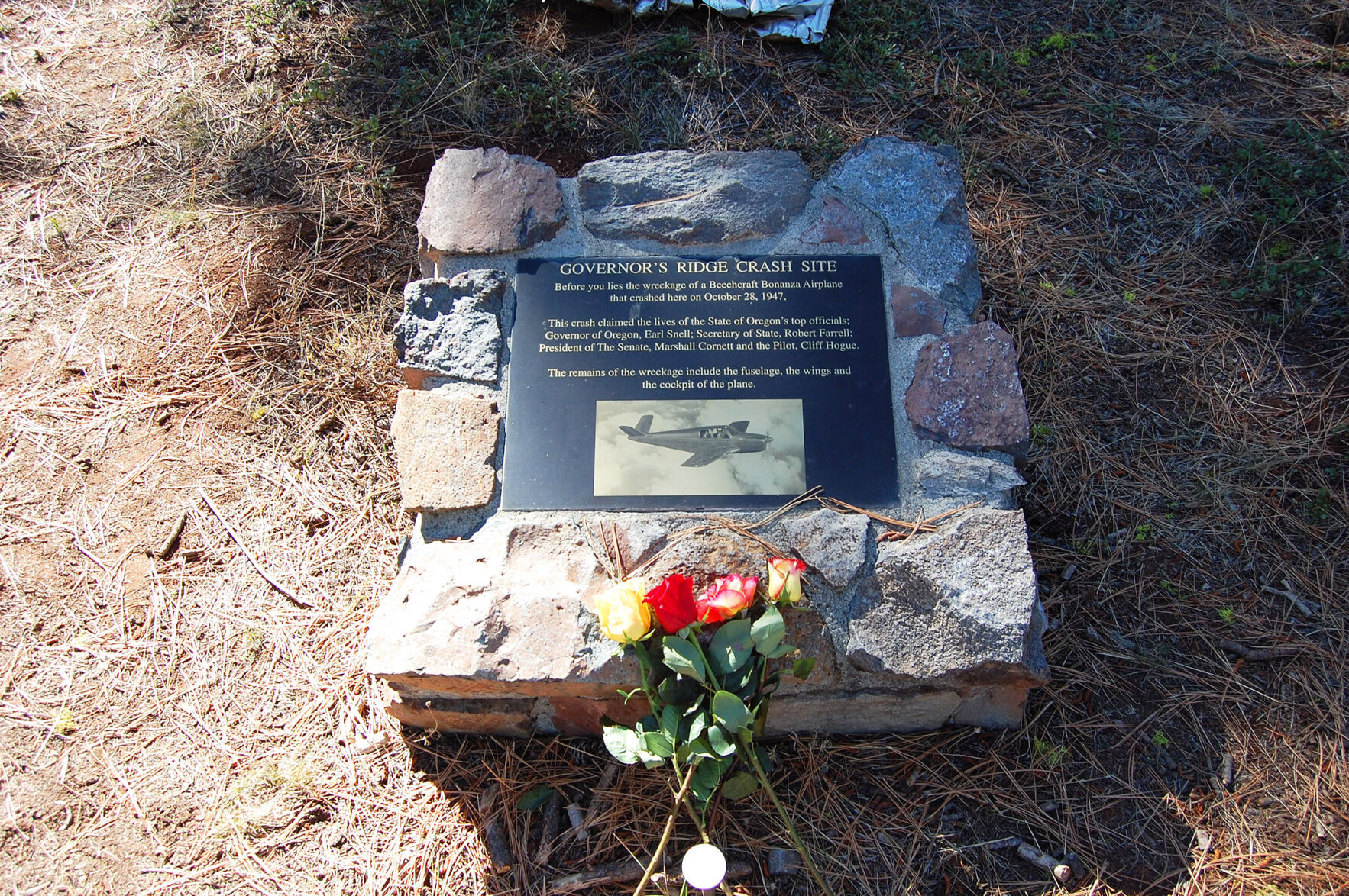 76 years later Lake County plane wreckage evidence of day that