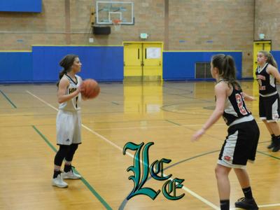 Lady Honkers Rout Illinois Valley Will Host Osaa State Playoff