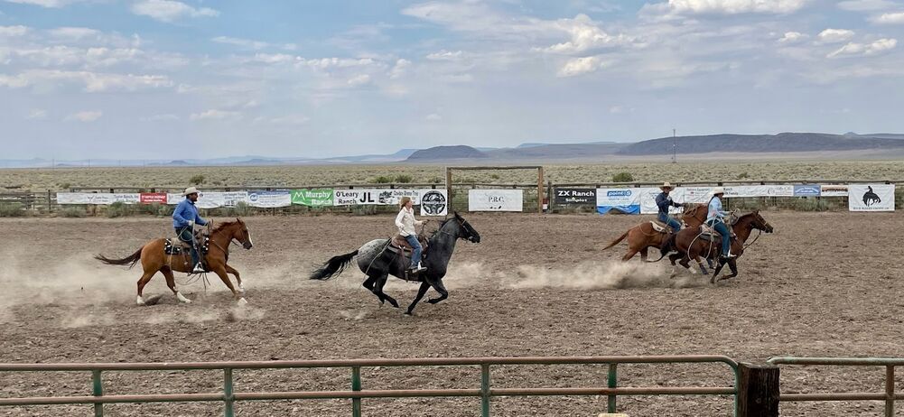 Paisley Rodeo Club Mosquito Festival Rodeo results | Lifestyles