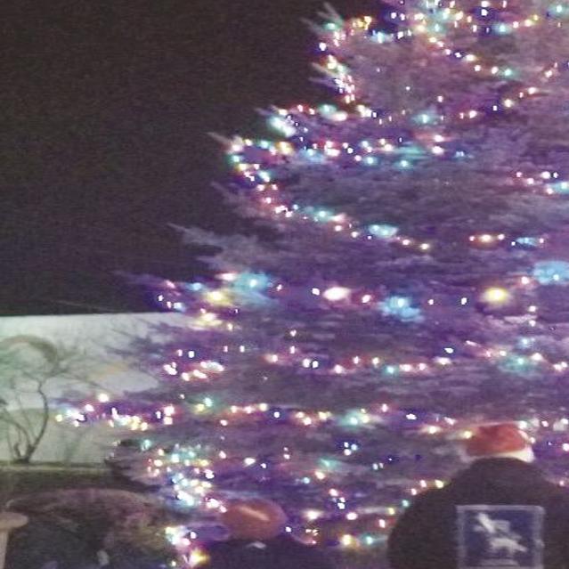 Christmas In Lakeview Mi 2022 Lakeview Tree Lighting Ceremony Changes Day | Lifestyles |  Lakecountyexam.com