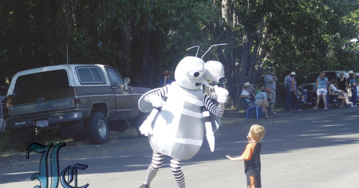 Paisley Mosquito Festival 2025
