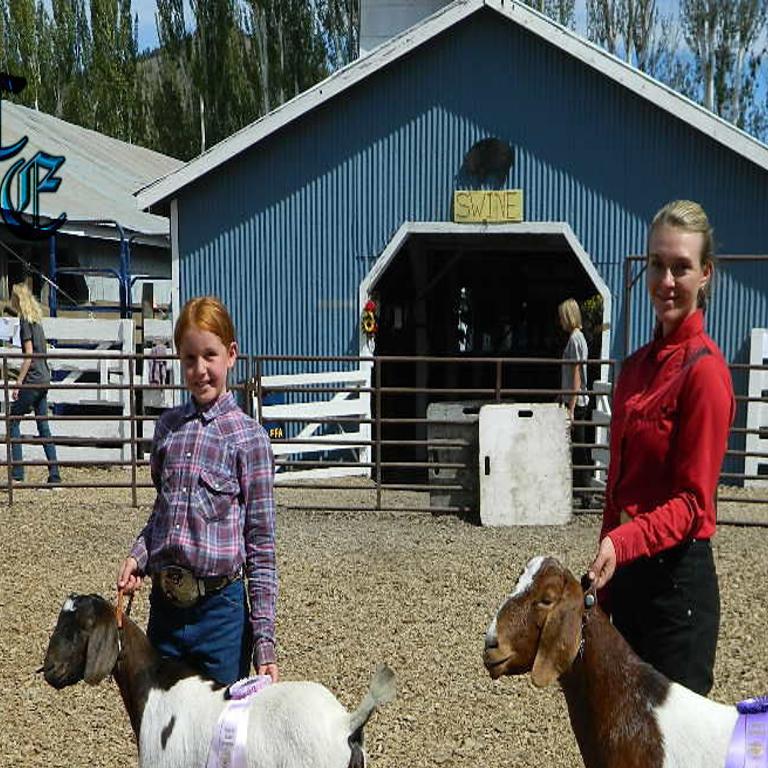 Lake County Ohio Fair 2022