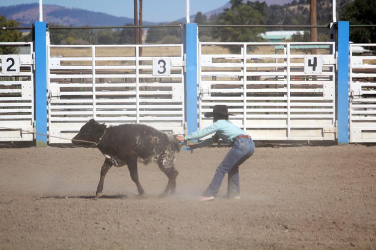 Dally Ribbon Roping Lake County Cattlewomen's 2nd annual Cattle Classic | Military ...