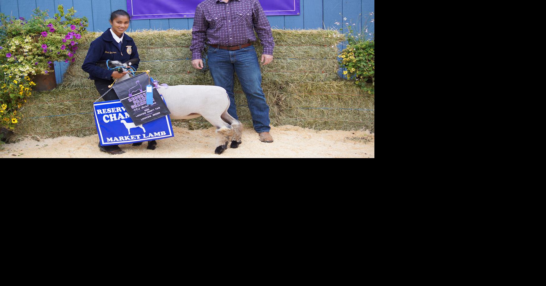 FFA reserve lamb lakecountyexam com