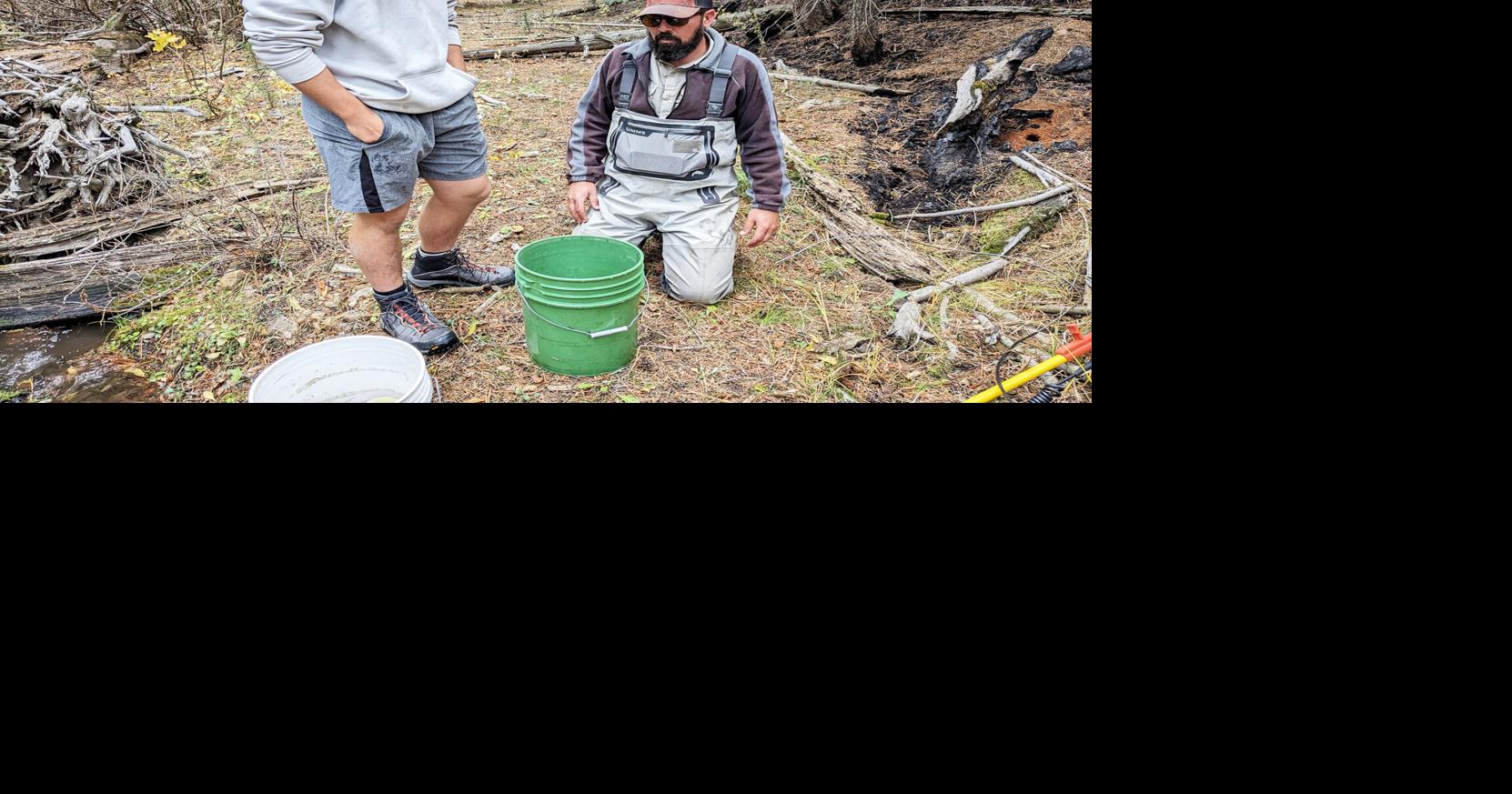Fish and wildlife job shadow