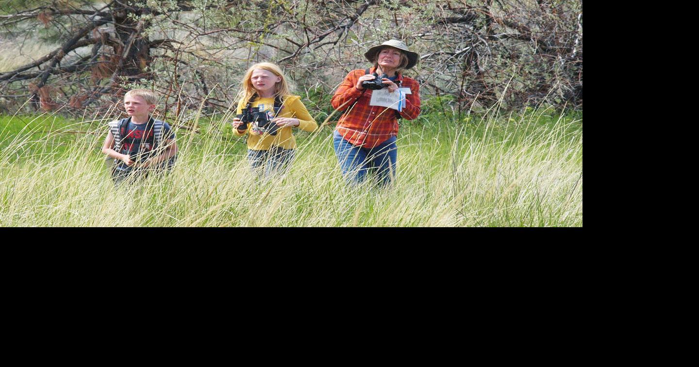 Free community birding festival in Summer Lake Saturday | Lifestyles ...
