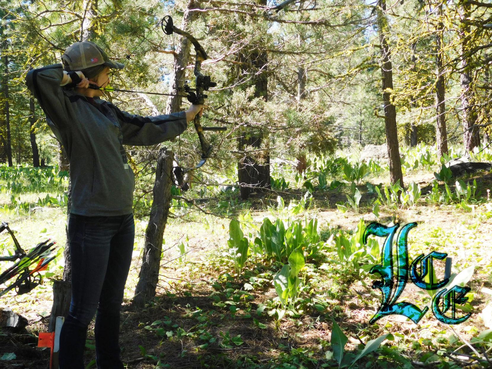 Lakeview Bowmen Cox Creek 3d Archery Shoot 6 19 2016 Photos
