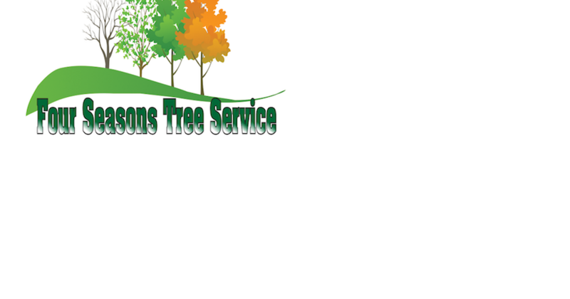 625eeccf74526.preview-800.png?