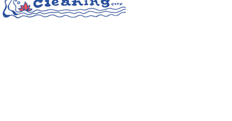 Clearwater Carpet Cleaning - Vimarsana News