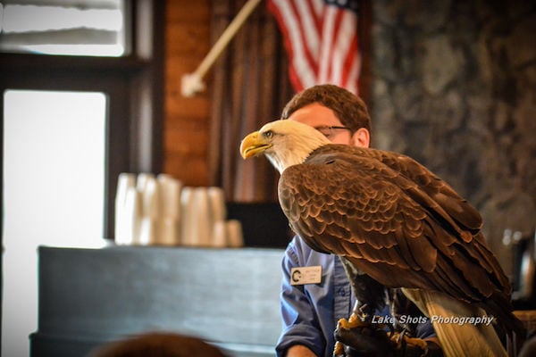EagleDays2017 104.jpg