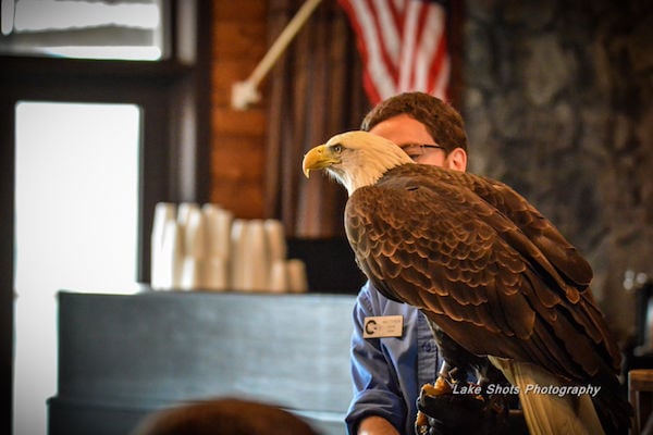 EagleDays2017 105.jpg