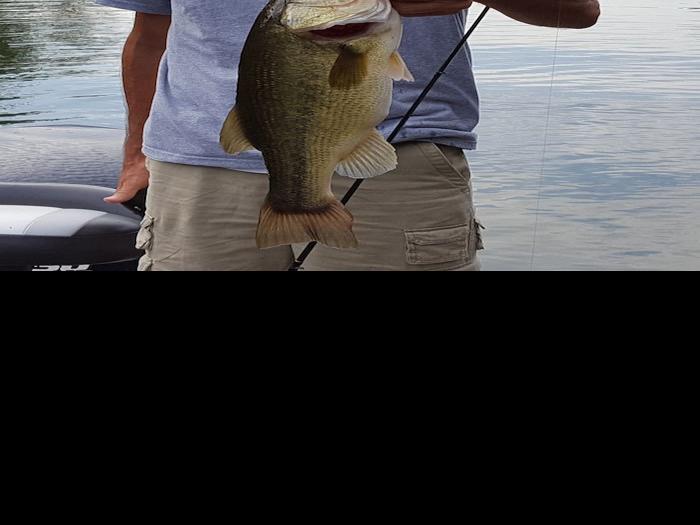 Fishing At Lake Of The Ozarks Tips, Lures, Where To Cast And What To
