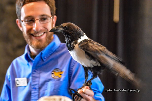 EagleDays2017 127.jpg