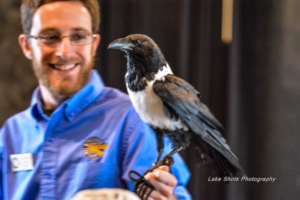 EagleDays2017 128.jpg