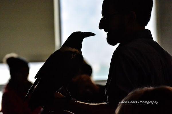 EagleDays2017 139.jpg