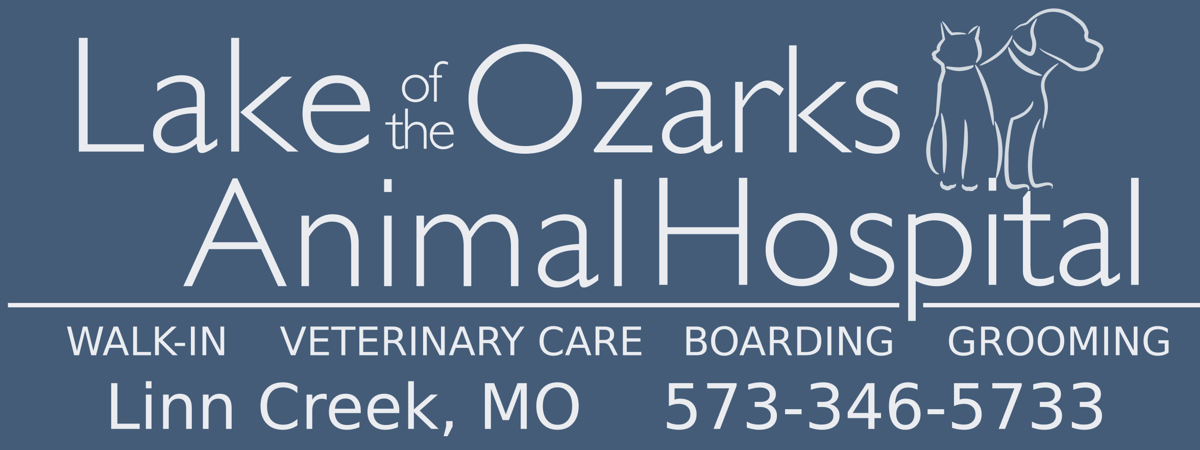 Lake Of The Ozarks Animal Hospital Is Taking Donations To Help Pet Owners Hit By Harvey Lake Of The Ozarks Community News Lakeexpo Com