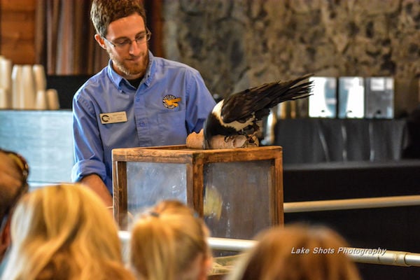 EagleDays2017 144.jpg