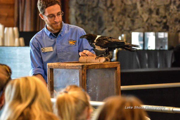 EagleDays2017 145.jpg