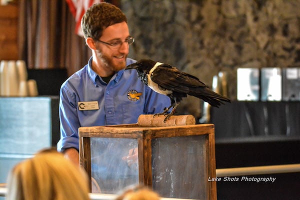 EagleDays2017 146.jpg