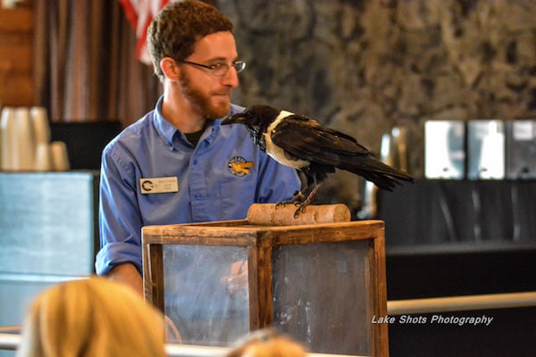 EagleDays2017 147.jpg