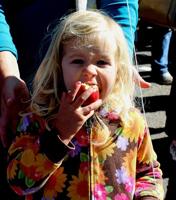 PHOTOS: Versailles Olde Tyme Apple Festival