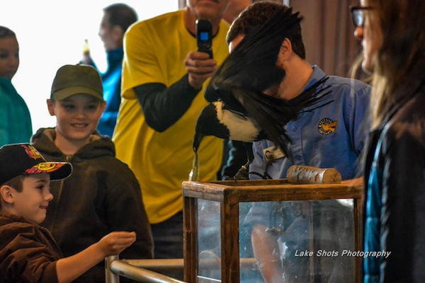 EagleDays2017 149.jpg
