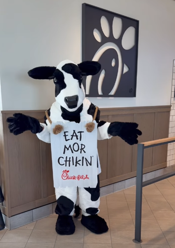 Cow "Eat mor chikin" sign CFA