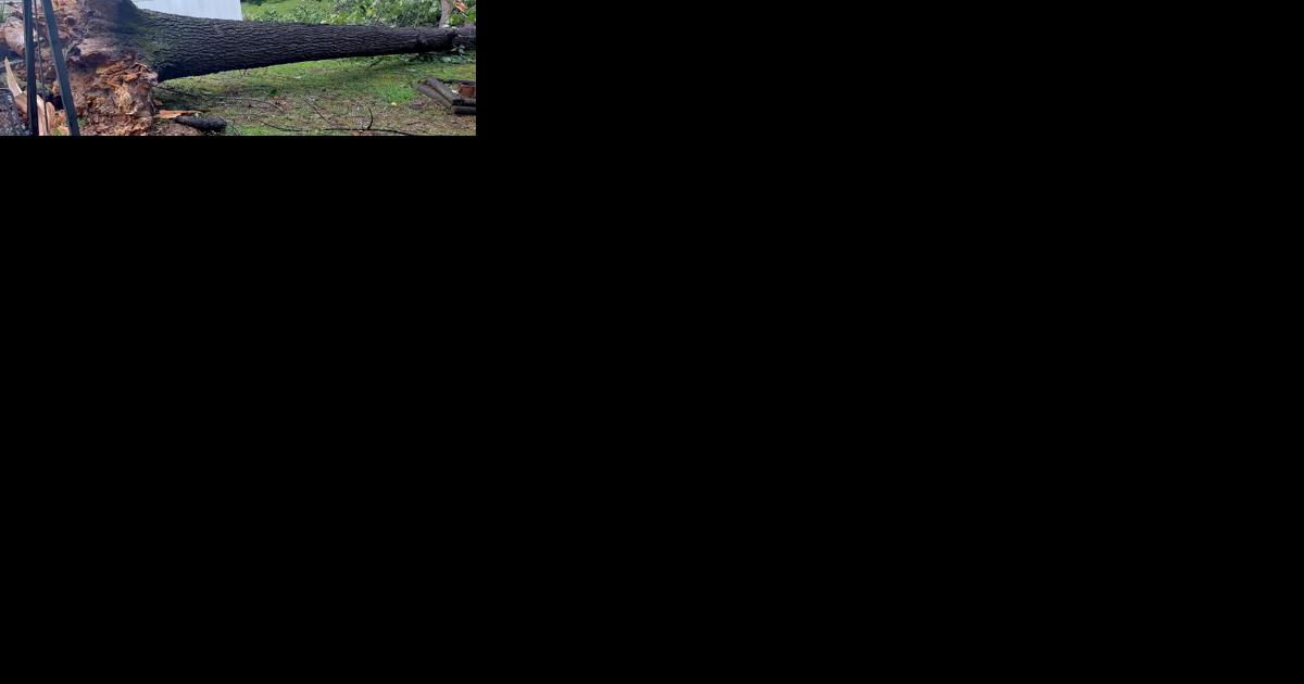 Docks Damaged, Trees Downed, 4,400 People Lose Power In Storms At Lake Of The Ozarks - Vimarsana News
