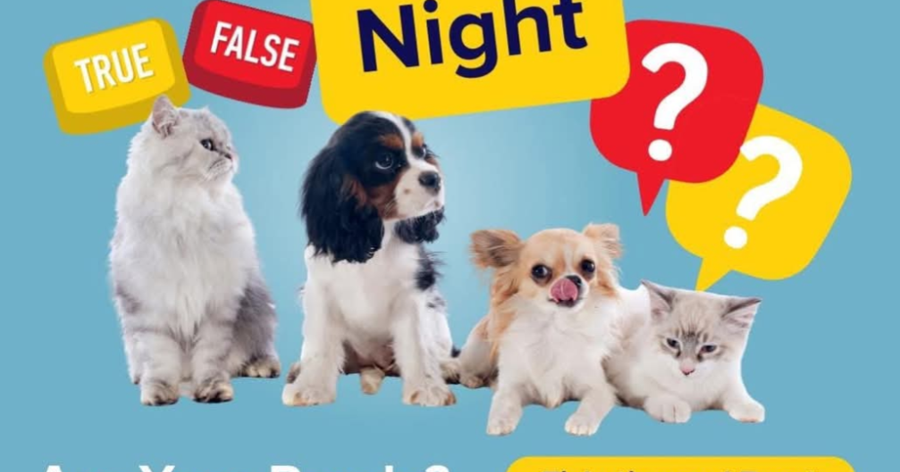 Trivia Night Fundraiser For Dogwood Animal Shelter