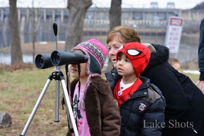 Birdwatching At Eagle Days