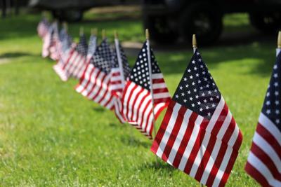 Line of American flags in park