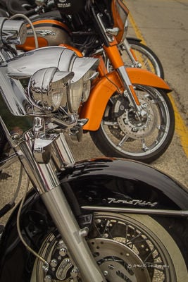 BikeFest 2014   28.jpg