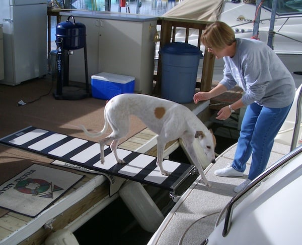 dog stairs for boat