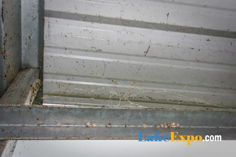Lake Spider Netting: Installation Process | | lakeexpo.com