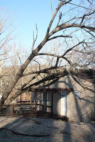 treehouse_MC911.jpg