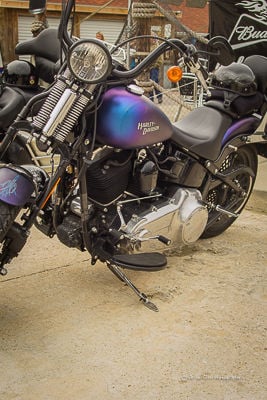 BikeFest 2014   39.jpg