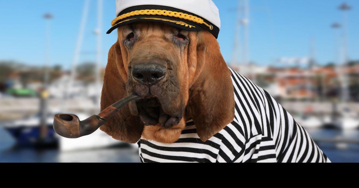 6 Tips for Boating with Your Dog (Tips from a Boat Dog Mom)