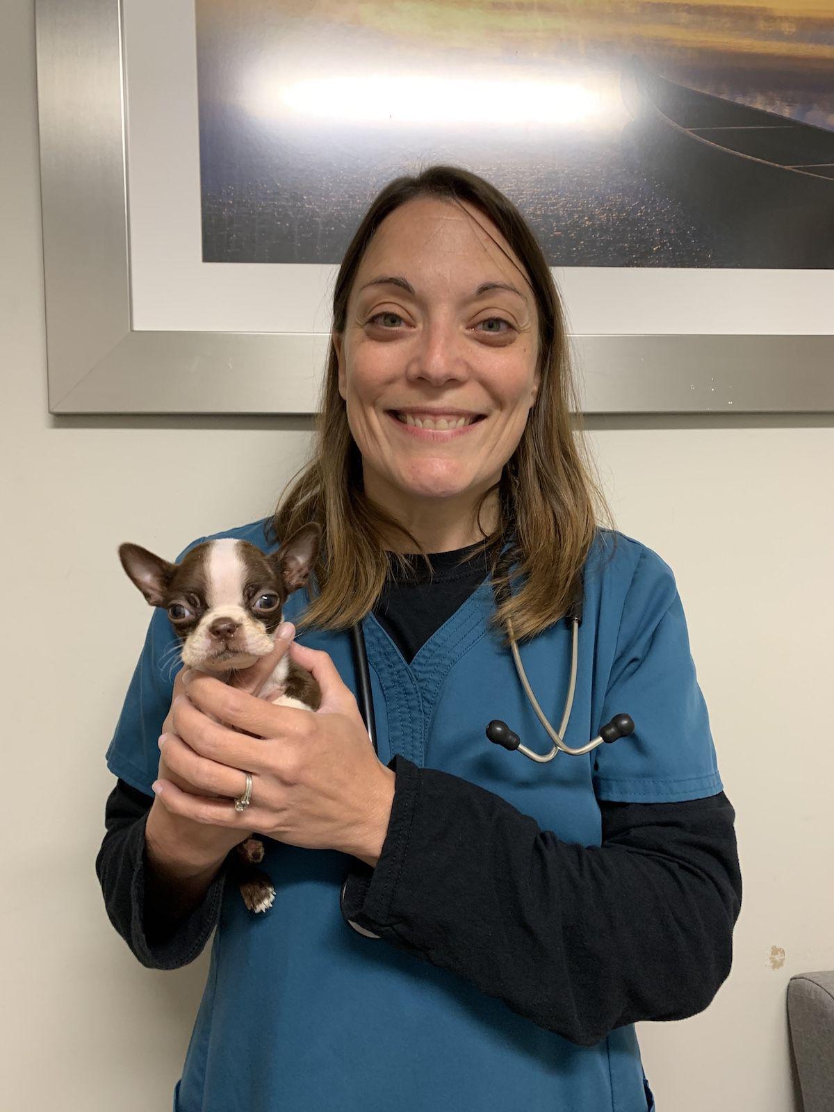 Animal Loving Vets Share Hilarious Heartwarming Stories From Lake Of The Ozarks Animal Hospital Lake Expo Advertorials Lakeexpo Com