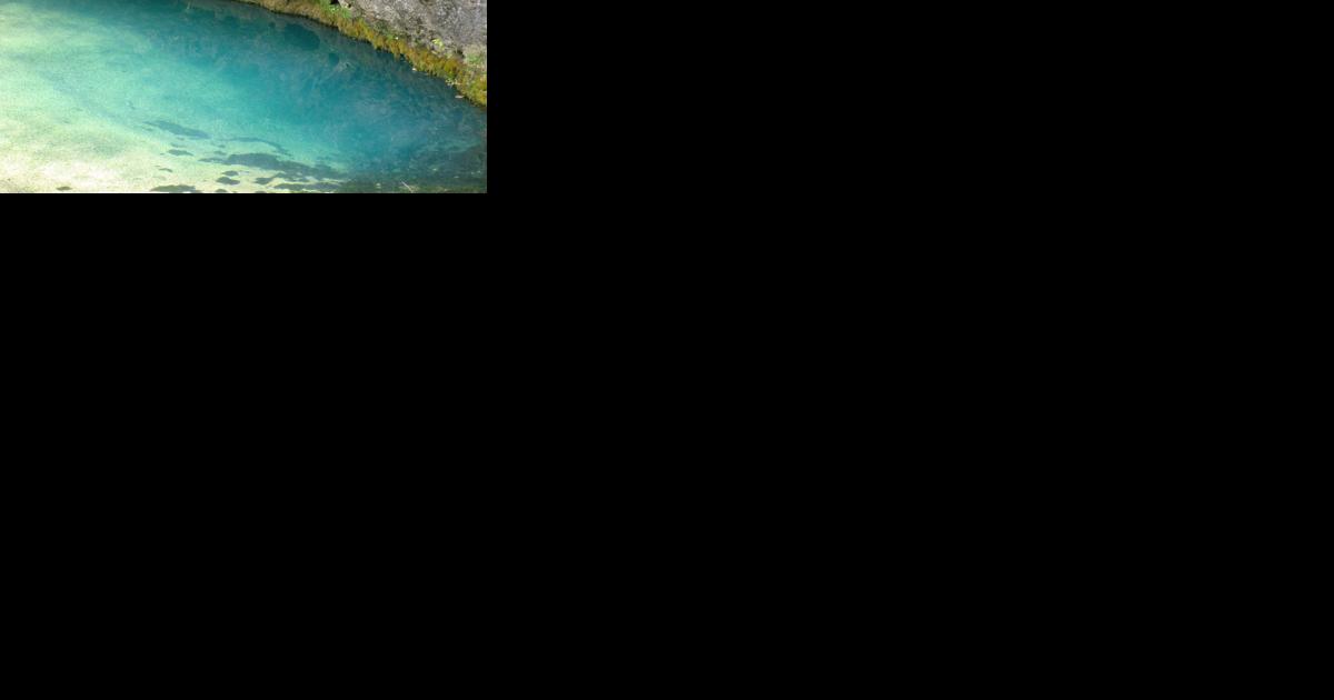 19-Year-Old Nearly Drowns In Ha Ha Tonka Spring, On Lake Of The Ozarks - Vimarsana News