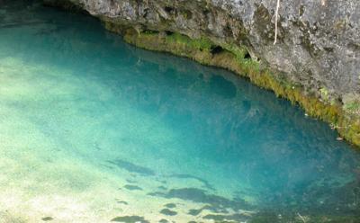 ha ha tonka springs.jpg