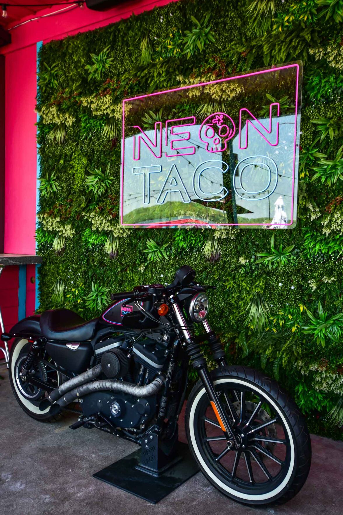 THE Dam Taco Bar! Neon Taco Hits The Spot On The Bagnell Dam Strip