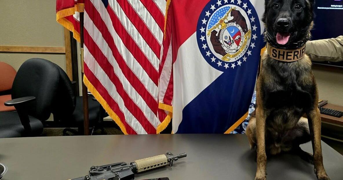 Camden County Drug Raid Uncovers Meth & Guns With The Help Of K9 ...