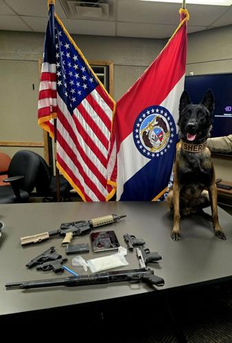 K9 Weapon/Drug Bust Camden County.jpg