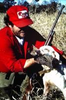 Dablemont: How To Bring Back The Quail