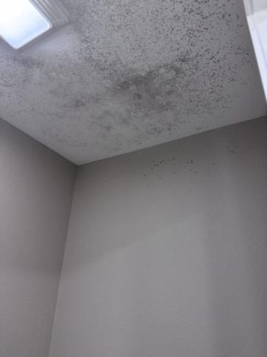 Mold On Ceiling