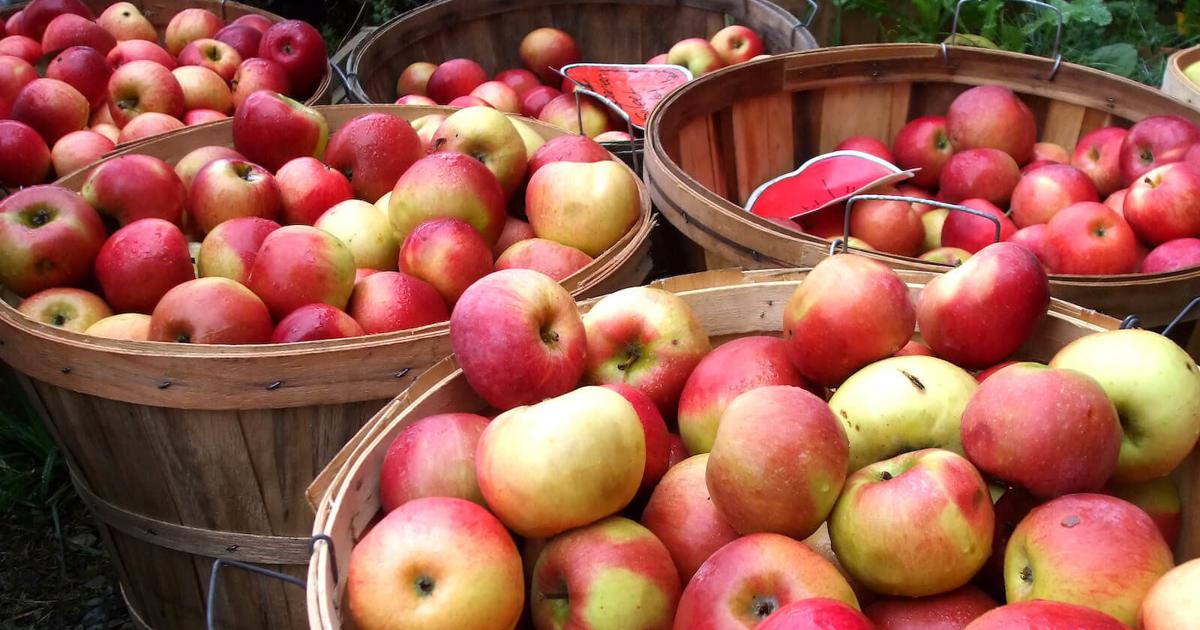 Versailles Apple Festival 2025