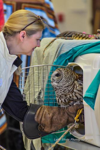 EagleDays2017 297.jpg