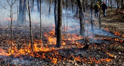Brush Fire