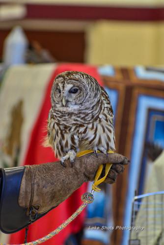 EagleDays2017 298.jpg