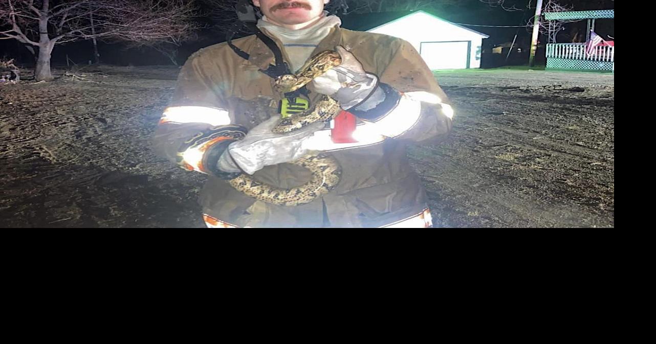 Firefighters Save Snakes From Burning Home | Lake of the Ozarks News ...